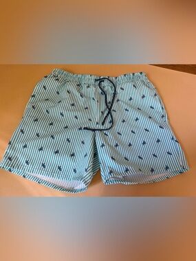 Rainforest Men's Swim Trunks Size S Teal Striped Sea Turtle Print Seersucker